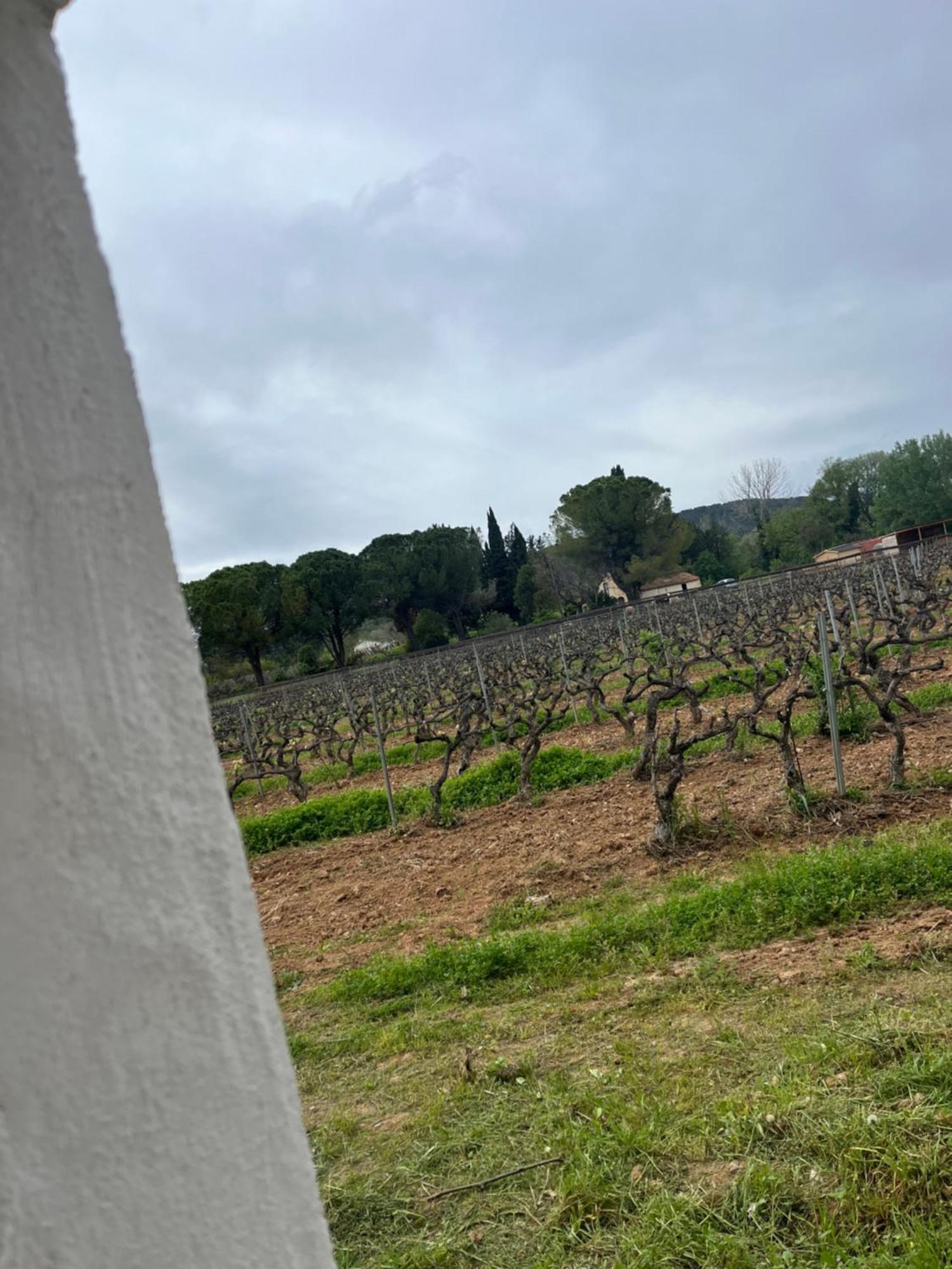 Appartement Avec Piscine Au Milieu Des Vignes Les Arcs-sur-Argens Extérieur photo